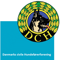 DcH nyt Logo.png